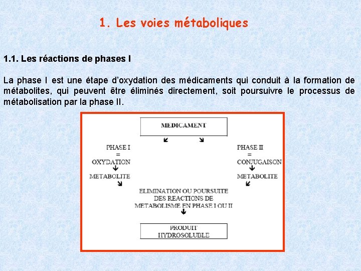 1. Les voies métaboliques 1. 1. Les réactions de phases I La phase I