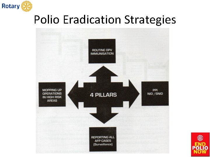 Polio Eradication Strategies 