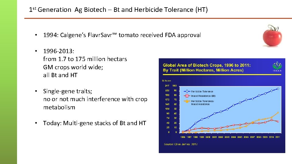 1 st Generation Ag Biotech – Bt and Herbicide Tolerance (HT) • 1994: Calgene’s