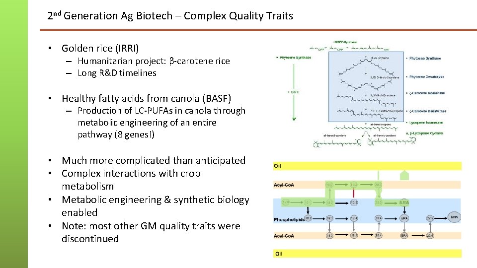 2 nd Generation Ag Biotech – Complex Quality Traits • Golden rice (IRRI) –