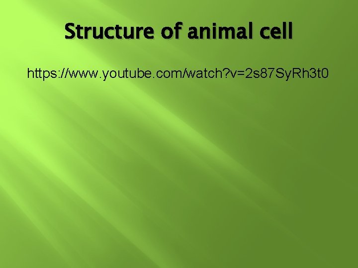 Structure of animal cell https: //www. youtube. com/watch? v=2 s 87 Sy. Rh 3