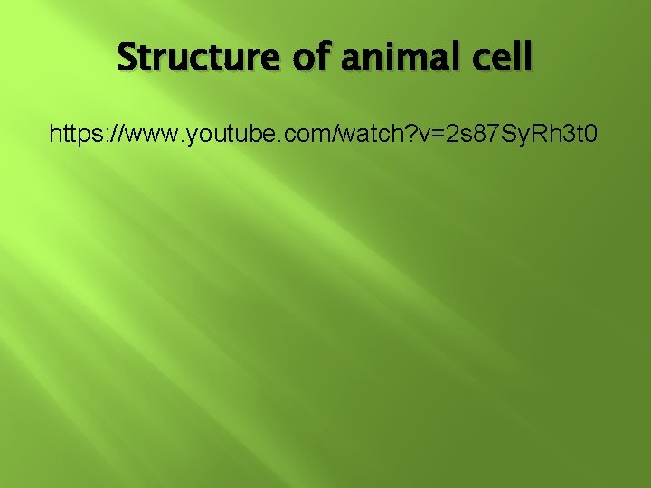 Structure of animal cell https: //www. youtube. com/watch? v=2 s 87 Sy. Rh 3 Structure of animal cell https: //www. youtube. com/watch? v=2 s 87 Sy. Rh 3