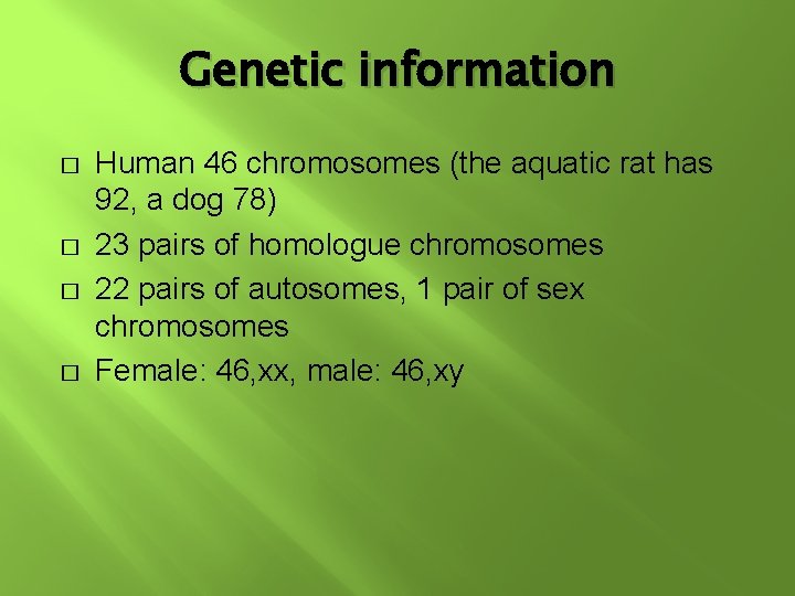 Genetic information � � Human 46 chromosomes (the aquatic rat has 92, a dog