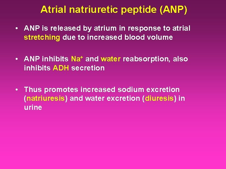 Atrial natriuretic peptide (ANP) • ANP is released by atrium in response to atrial