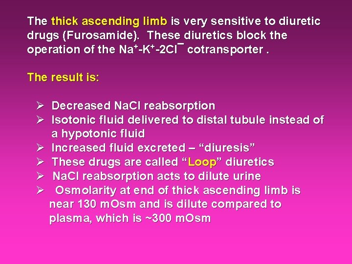 The thick ascending limb is very sensitive to diuretic drugs (Furosamide). These diuretics block