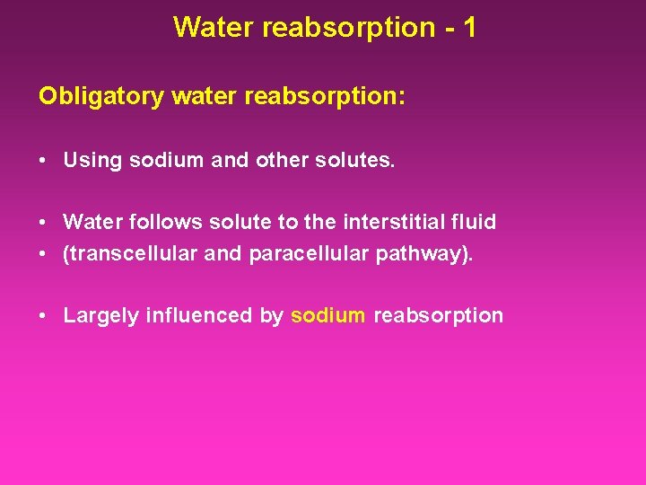 Water reabsorption - 1 Obligatory water reabsorption: • Using sodium and other solutes. •