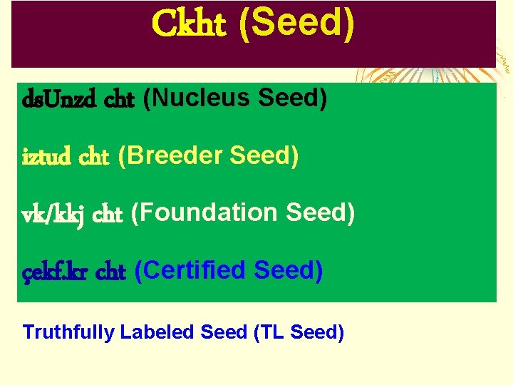 Ckht (Seed) ds. Unzd cht (Nucleus Seed) iztud cht (Breeder Seed) vk/kkj cht (Foundation