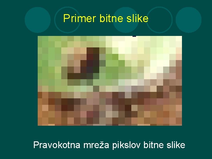 Primer bitne slike Pravokotna mreža pikslov bitne slike 