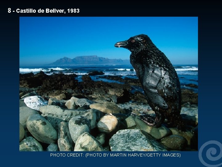 8 - Castillo de Bellver, 1983 PHOTO CREDIT: (PHOTO BY MARTIN HARVEY/GETTY IMAGES) 