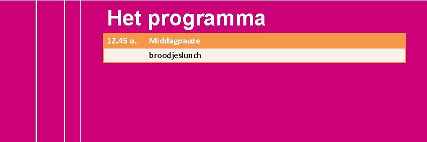 Het programma 12. 45 u. Middagpauze broodjeslunch 