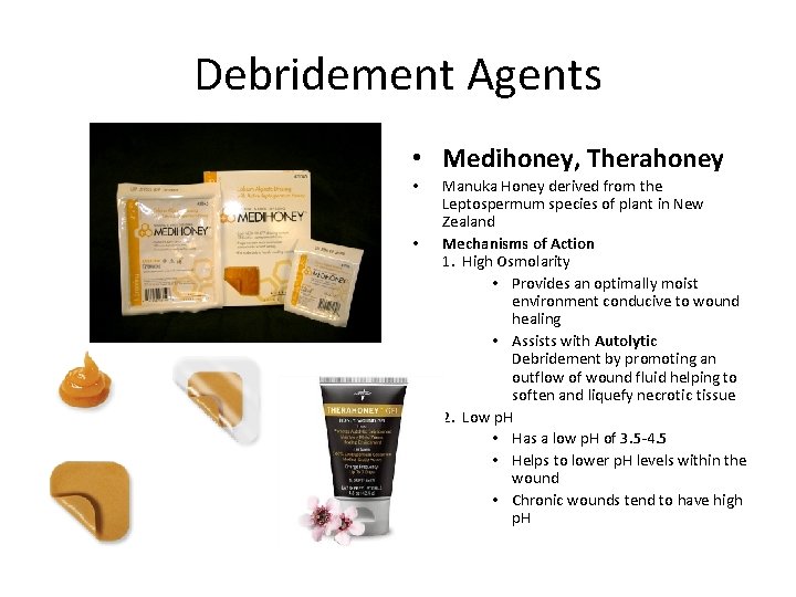 Debridement Agents • Medihoney, Therahoney • • • Manuka Honey derived from the Leptospermum