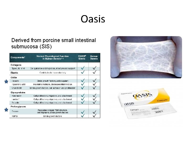 Oasis Derived from porcine small intestinal submucosa (SIS) 
