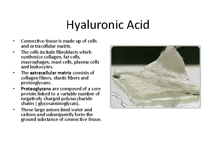 Hyaluronic Acid • • • Connective tissue is made up of cells and extracellular