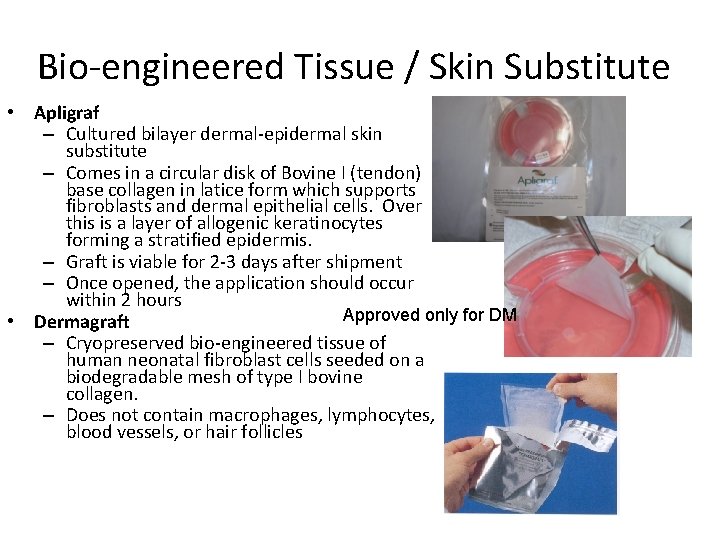 Bio-engineered Tissue / Skin Substitute • Apligraf – Cultured bilayer dermal-epidermal skin substitute –