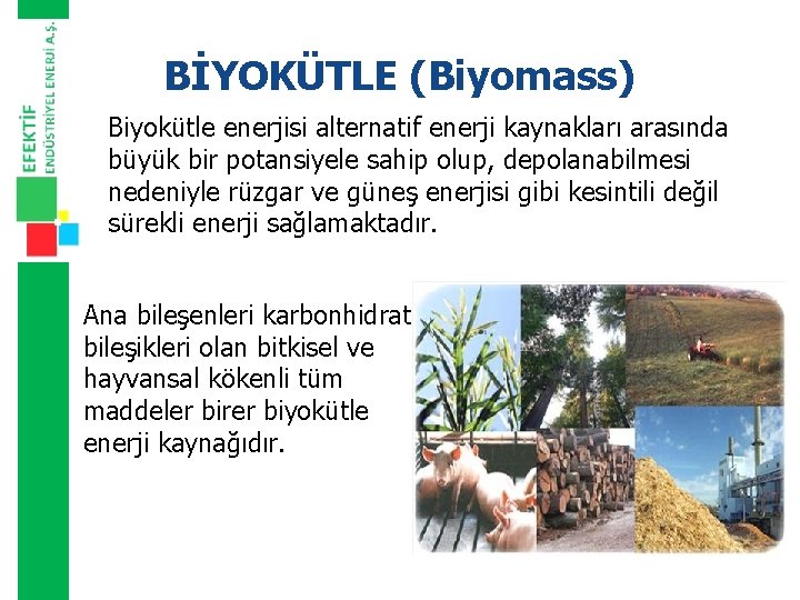 BİYOKÜTLE (Biyomass) Biyokütle enerjisi alternatif enerji kaynakları arasında büyük bir potansiyele sahip olup, depolanabilmesi