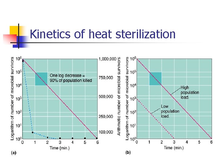 Kinetics of heat sterilization 
