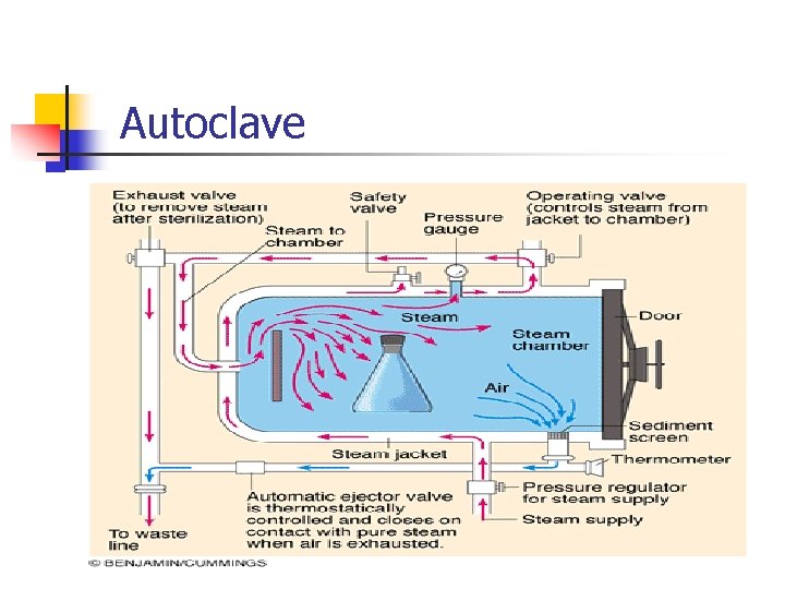 Autoclave 