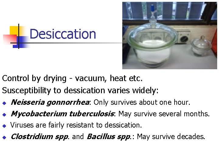 Desiccation Control by drying - vacuum, heat etc. Susceptibility to dessication varies widely: u
