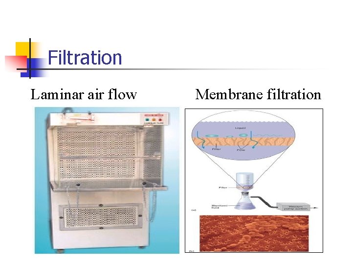 Filtration Laminar air flow Membrane filtration 