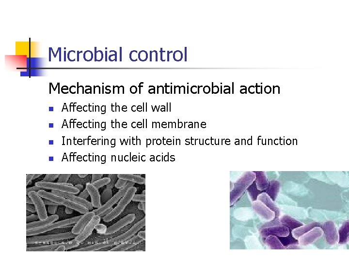 Microbial control Mechanism of antimicrobial action n n Affecting the cell wall Affecting the