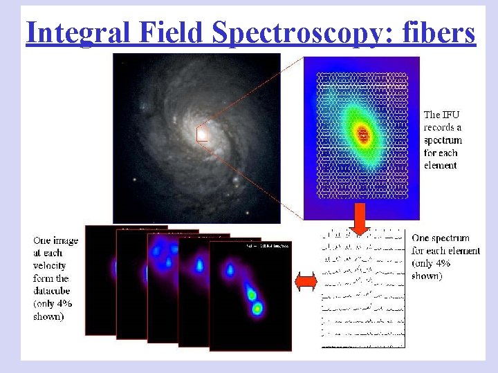 Integral Field Spectroscopy: fibers 