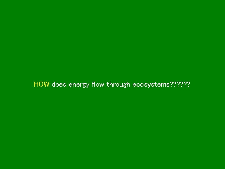 HOW does energy flow through ecosystems? ? ? 