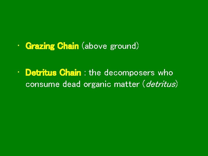  • Grazing Chain (above ground) • Detritus Chain : the decomposers who consume