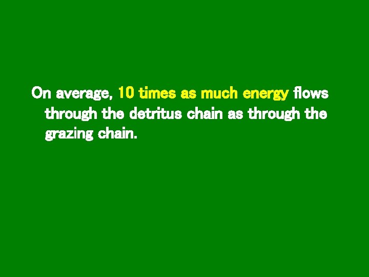 On average, 10 times as much energy flows through the detritus chain as through