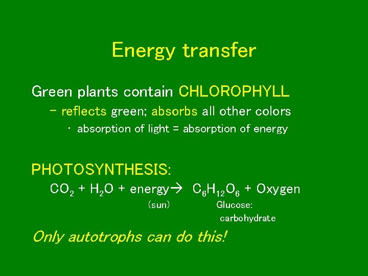 Energy transfer Green plants contain CHLOROPHYLL – reflects green; absorbs all other colors •