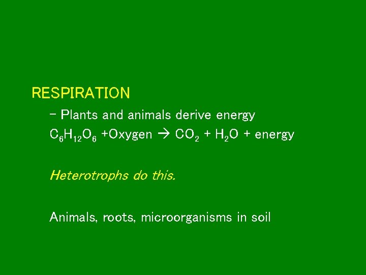 RESPIRATION – Plants and animals derive energy C 6 H 12 O 6 +Oxygen