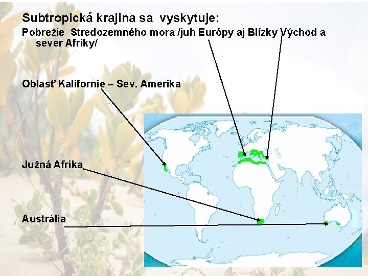 Subtropická krajina sa vyskytuje: Pobrežie Stredozemného mora /juh Európy aj Blízky Východ a sever