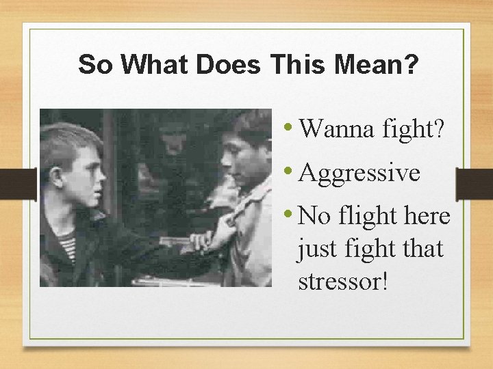 So What Does This Mean? • Wanna fight? • Aggressive • No flight here
