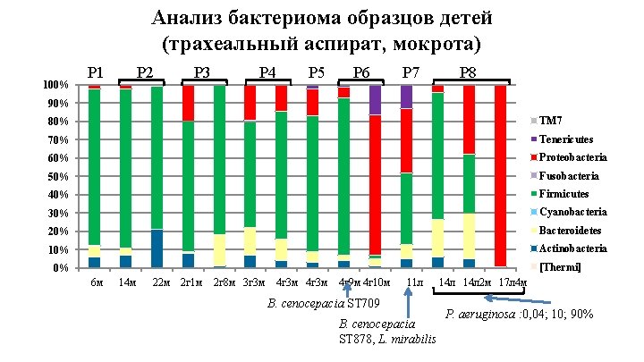 Анализ бактериома образцов детей (трахеальный аспират, мокрота) P 1 100% P 2 P 3