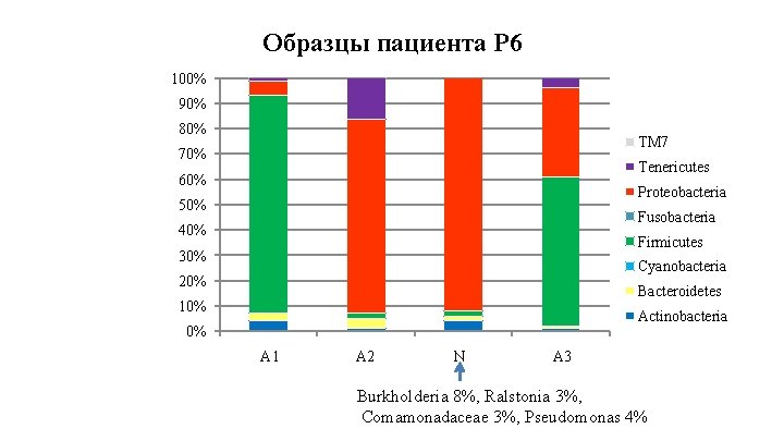 Образцы пациента P 6 100% 90% 80% TM 7 70% Tenericutes 60% Proteobacteria 50%