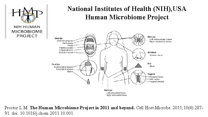 National Institutes of Health (NIH), USA Human Microbiome Project Proctor L. M. The Human