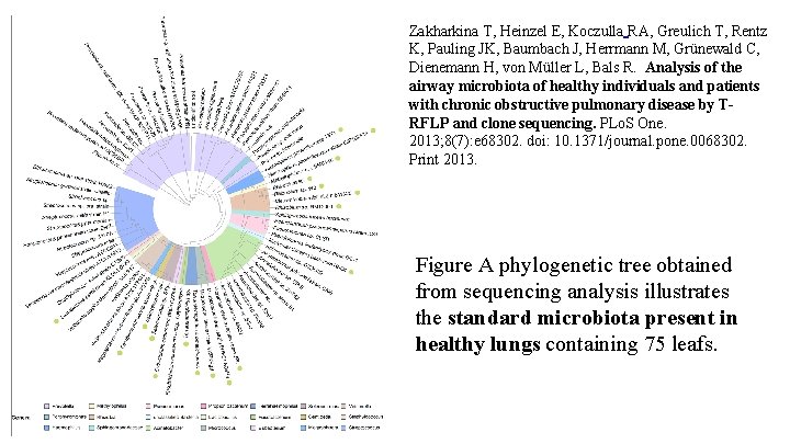 Zakharkina T, Heinzel E, Koczulla RA, Greulich T, Rentz K, Pauling JK, Baumbach J,