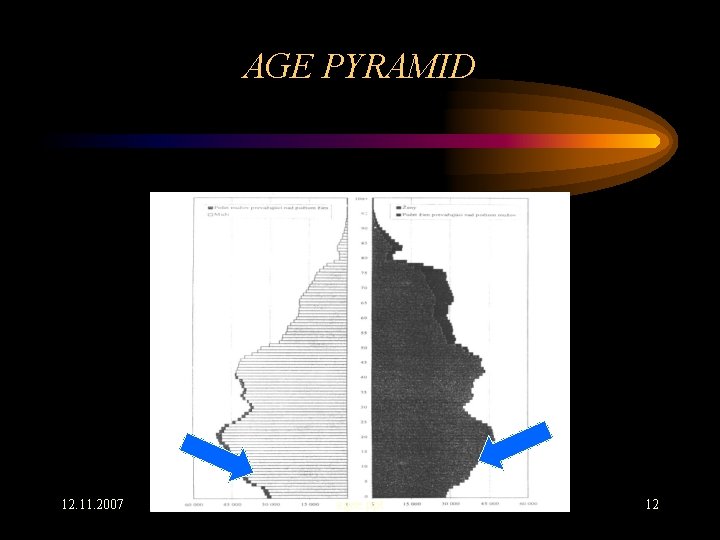 AGE PYRAMID 12. 11. 2007 agee. ppt 12 
