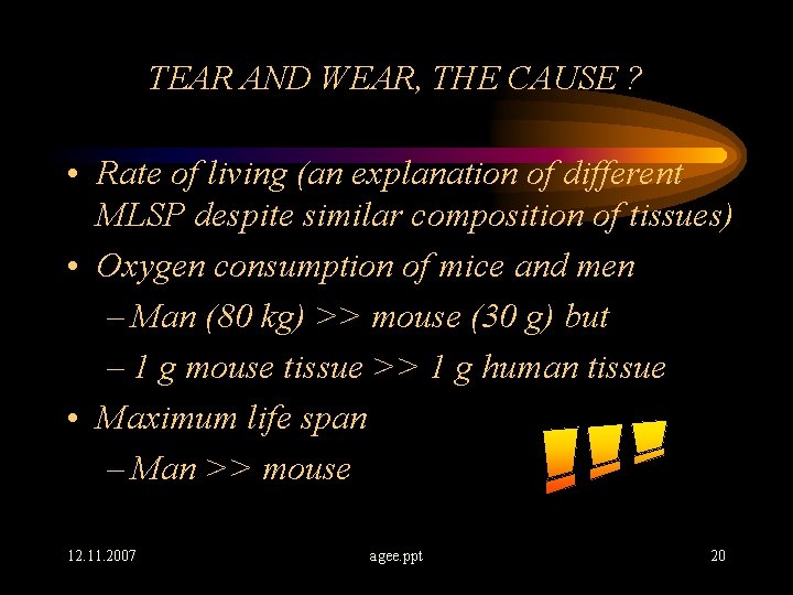 TEAR AND WEAR, THE CAUSE ? • Rate of living (an explanation of different