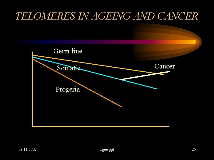 TELOMERES IN AGEING AND CANCER Germ line Cancer Somatic Progeria 12. 11. 2007 agee.