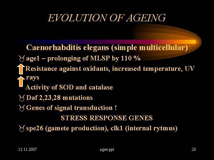 EVOLUTION OF AGEING Caenorhabditis elegans (simple multicellular) _ age 1 – prolonging of MLSP