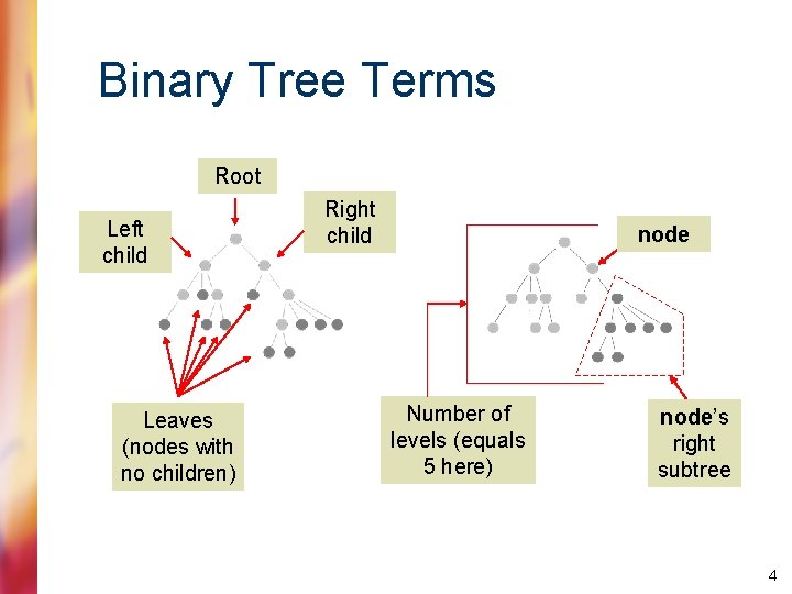 Binary Tree Terms Root Left child Leaves (nodes with no children) Right child node