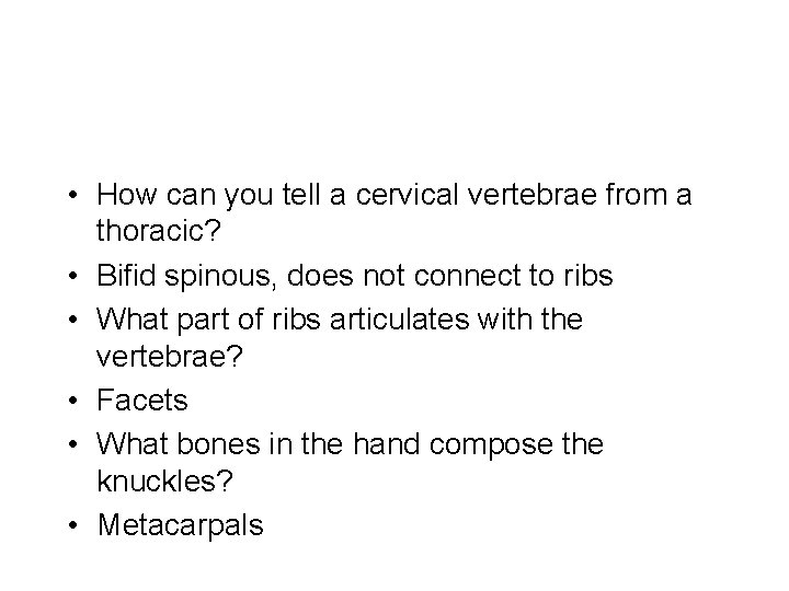 • How can you tell a cervical vertebrae from a thoracic? • Bifid • How can you tell a cervical vertebrae from a thoracic? • Bifid