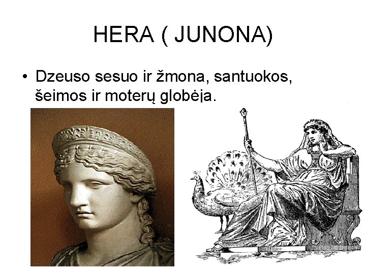 HERA ( JUNONA) • Dzeuso sesuo ir žmona, santuokos, šeimos ir moterų globėja. 