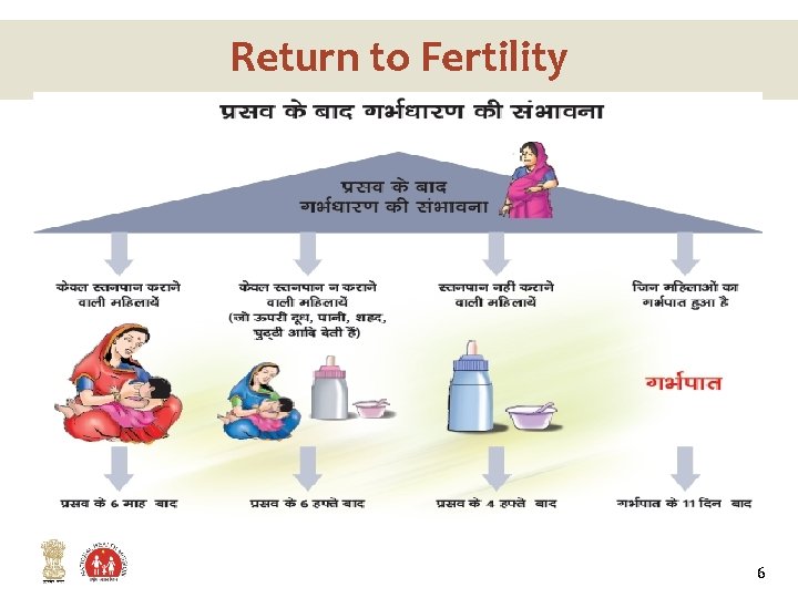 Return to Fertility 6 