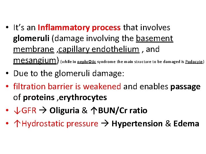  • It’s an Inflammatory process that involves glomeruli (damage involving the basement membrane