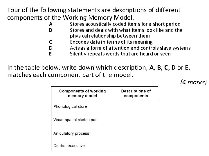 Four of the following statements are descriptions of different components of the Working Memory