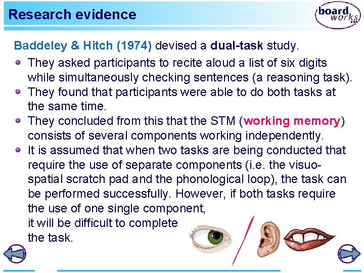 Research evidence Baddeley & Hitch (1974) devised a dual-task study. They asked participants to