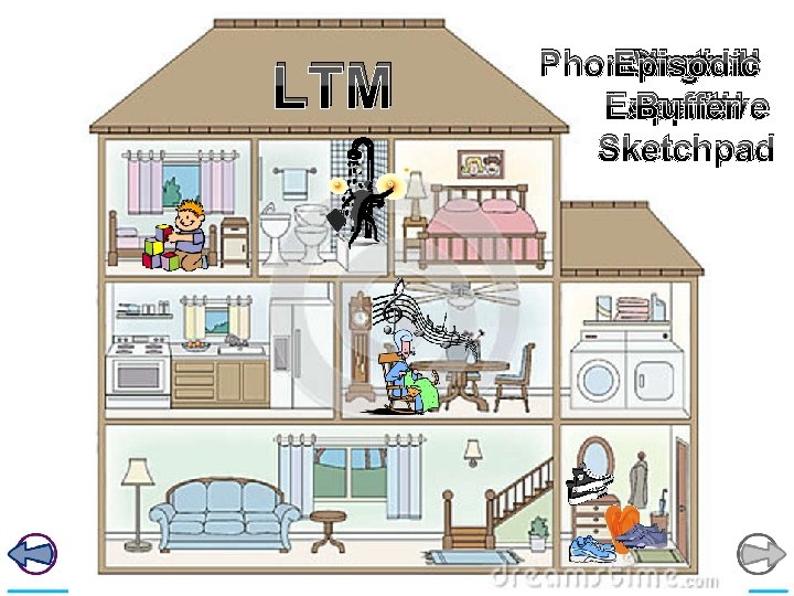 LTM Phonological Episodic Central Visuo. Executive Loop spatial Buffer Sketchpad 