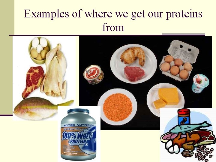 Examples of where we get our proteins from 