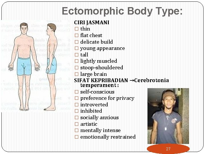 Ectomorphic Body Type: CIRI JASMANI � thin � flat chest � delicate build �